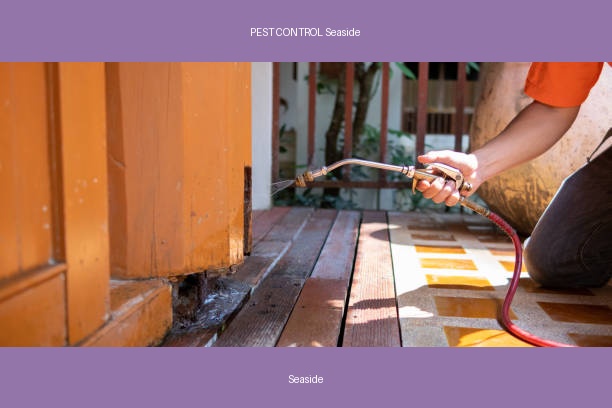 PEST CONTROL Seaside